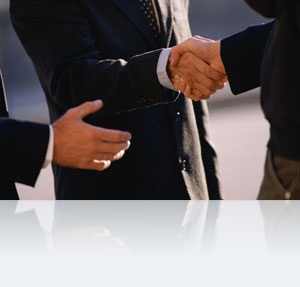 IT Business Partners